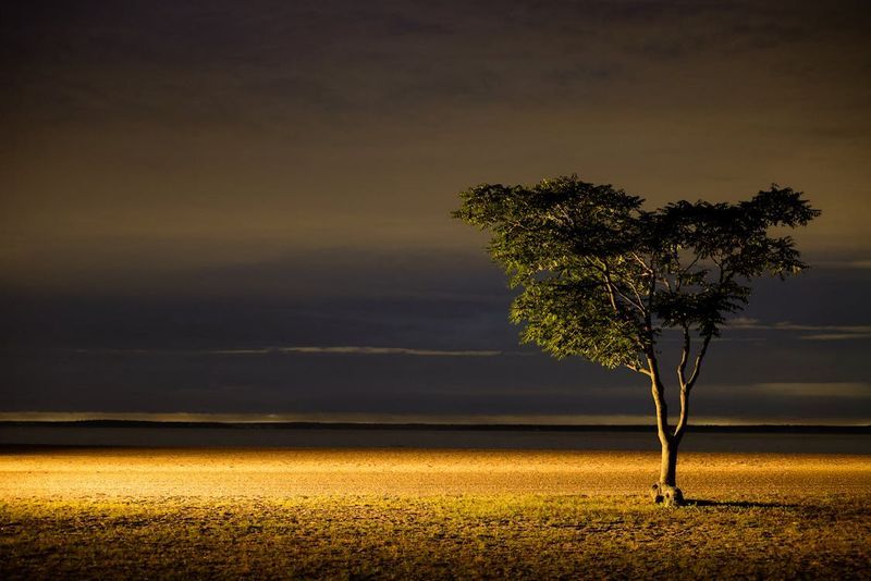 How Much is One Acre of Land Worth in West Virginia?